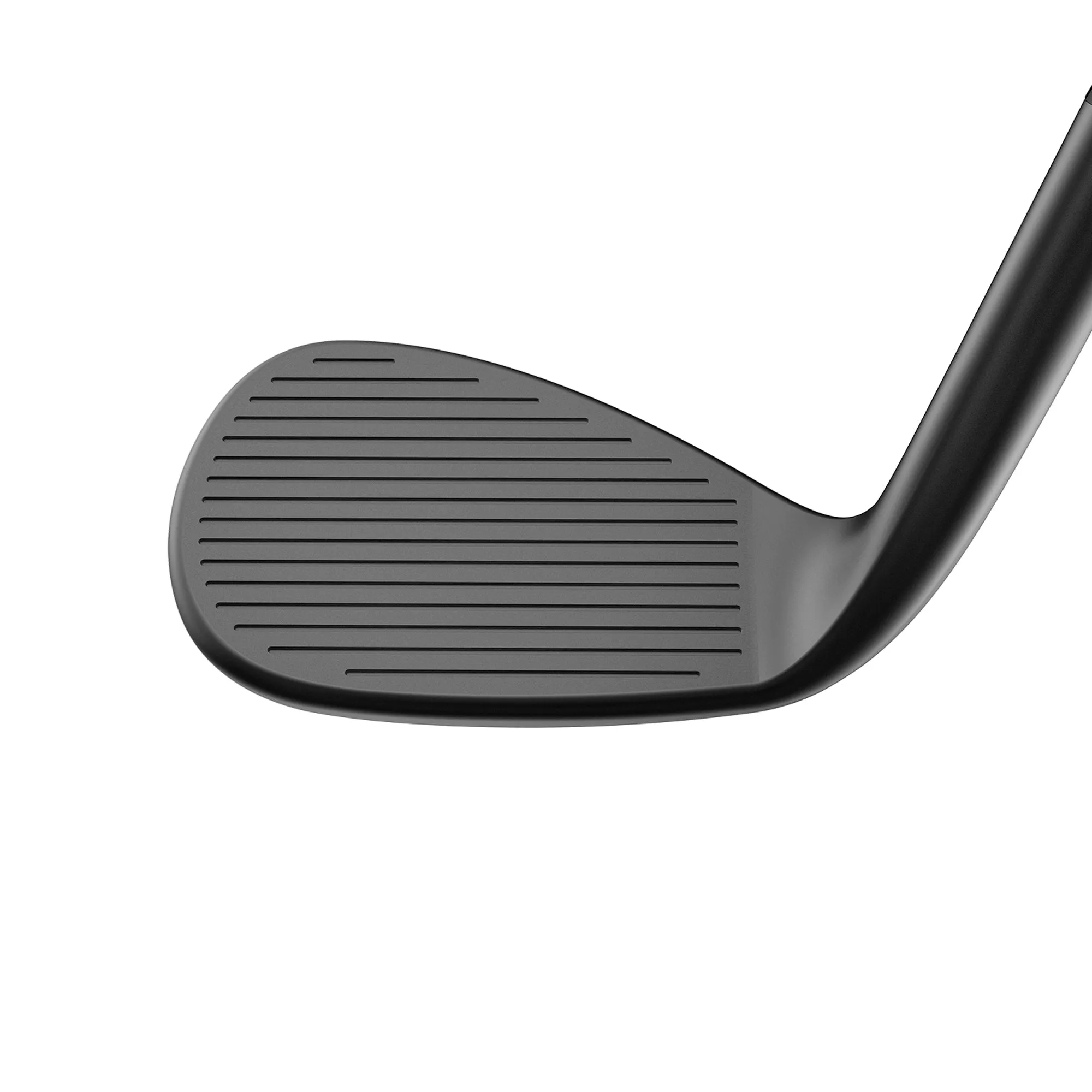 SNAKEBITE Black Wedge | Versatile | Left